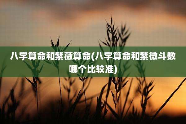 八字算命和紫薇算命(八字算命和紫微斗数哪个比较准)