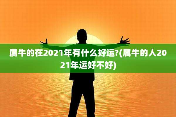 属牛的在2021年有什么好运?(属牛的人2021年运好不好)