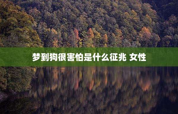 梦到狗很害怕是什么征兆 女性