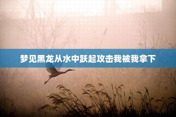 梦见黑龙从水中跃起攻击我被我拿下