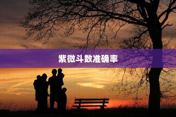 紫微斗数准确率