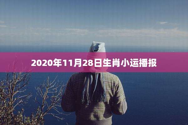 2020年11月28日生肖小运播报