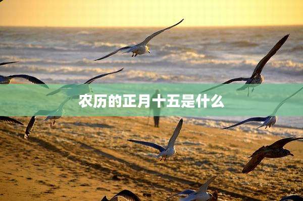 农历的正月十五是什么
