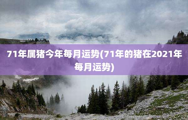 71年属猪今年每月运势(71年的猪在2021年每月运势)