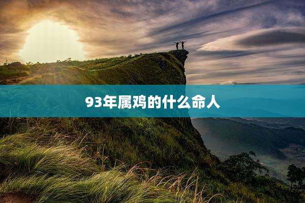 93年属鸡的什么命人