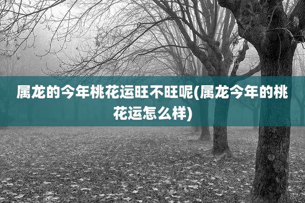 属龙的今年桃花运旺不旺呢(属龙今年的桃花运怎么样)
