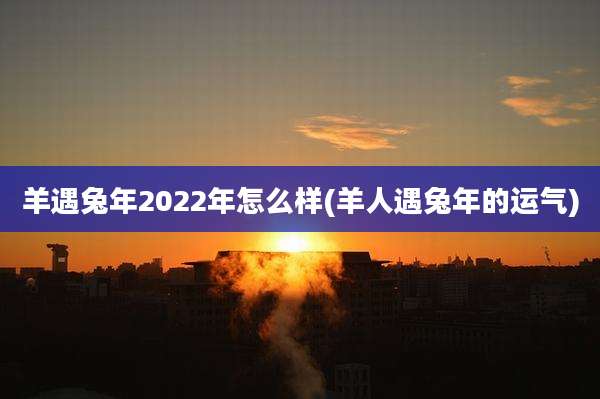 羊遇兔年2022年怎么样(羊人遇兔年的运气)