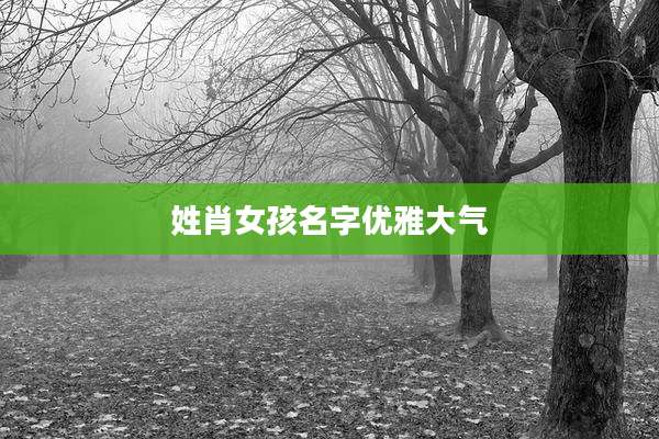 姓肖女孩名字优雅大气