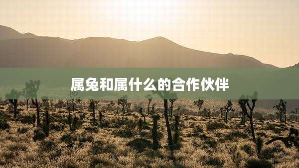 属兔和属什么的合作伙伴