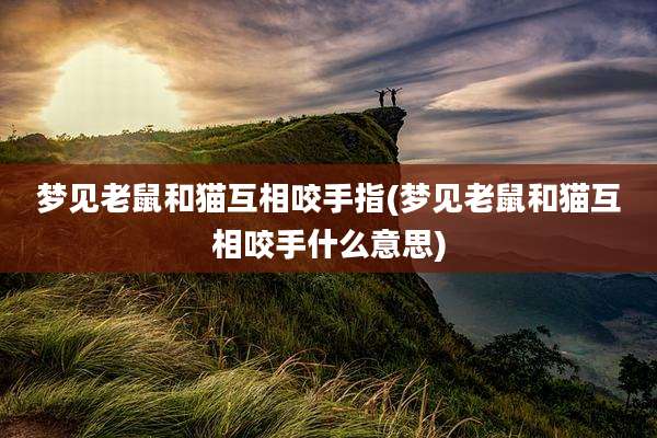 梦见老鼠和猫互相咬手指(梦见老鼠和猫互相咬手什么意思)
