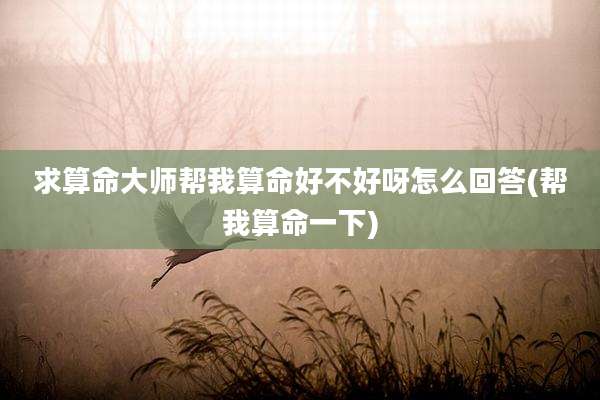 求算命大师帮我算命好不好呀怎么回答(帮我算命一下)