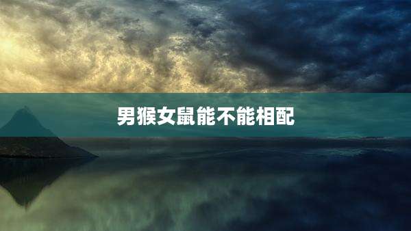 男猴女鼠能不能相配