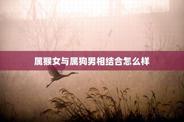 属猴女与属狗男相结合怎么样