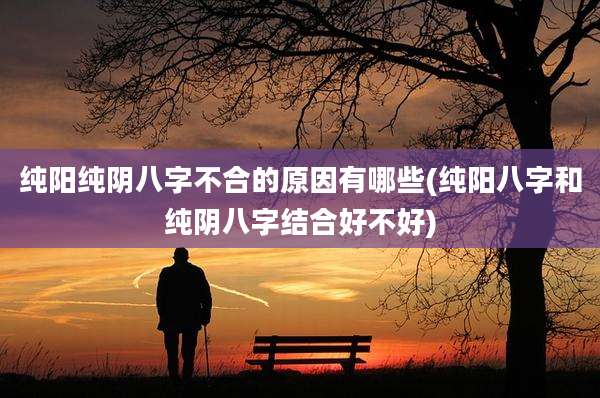 纯阳纯阴八字不合的原因有哪些(纯阳八字和纯阴八字结合好不好)
