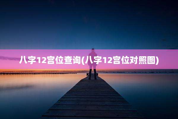 八字12宫位查询(八字12宫位对照图)