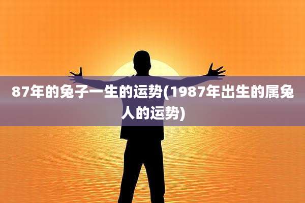 87年的兔子一生的运势(1987年出生的属兔人的运势)