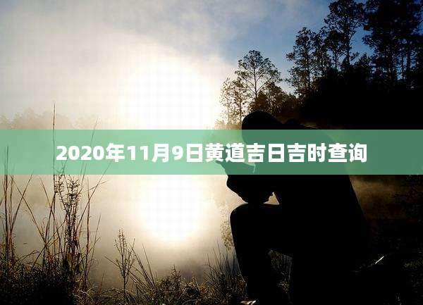 2020年11月9日黄道吉日吉时查询
