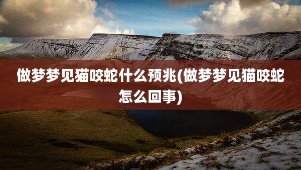 做梦梦见猫咬蛇什么预兆(做梦梦见猫咬蛇怎么回事)