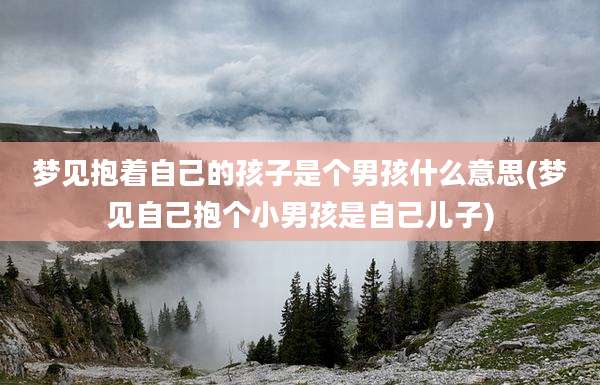 梦见抱着自己的孩子是个男孩什么意思(梦见自己抱个小男孩是自己儿子)