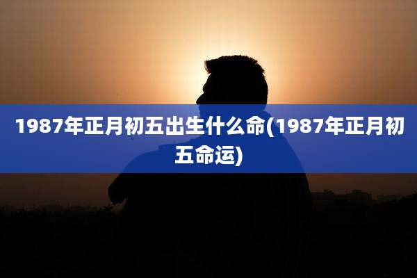 1987年正月初五出生什么命(1987年正月初五命运)