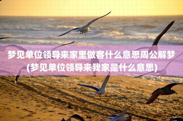 梦见单位领导来家里做客什么意思周公解梦(梦见单位领导来我家是什么意思)