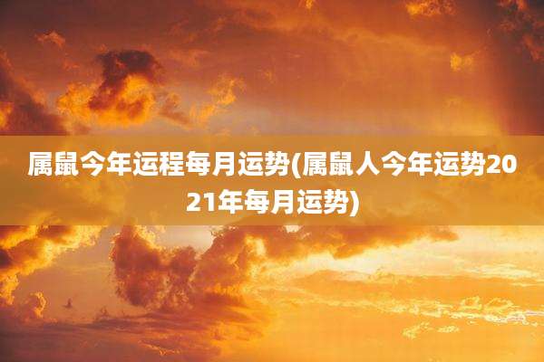 属鼠今年运程每月运势(属鼠人今年运势2021年每月运势)