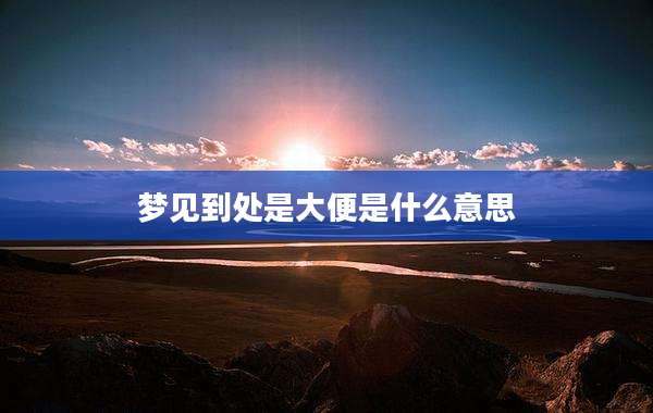 梦见到处是大便是什么意思