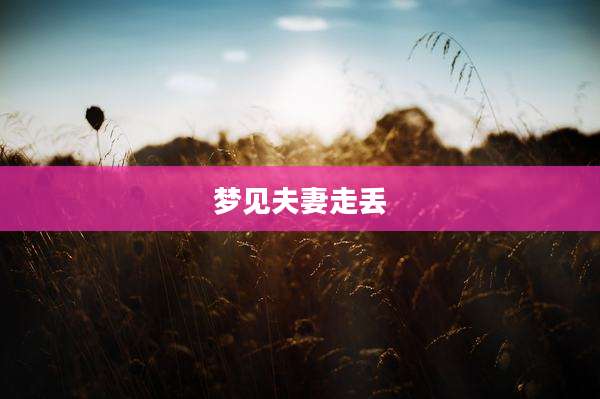 梦见夫妻走丢