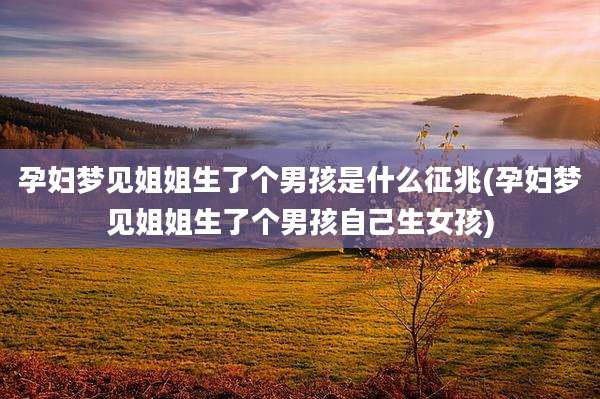 孕妇梦见姐姐生了个男孩是什么征兆(孕妇梦见姐姐生了个男孩自己生女孩)