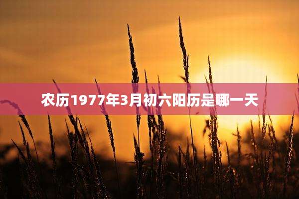 农历1977年3月初六阳历是哪一天