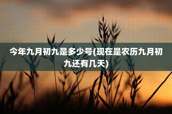 今年九月初九是多少号(现在是农历九月初九还有几天)