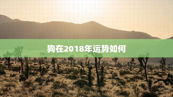 狗在2018年运势如何