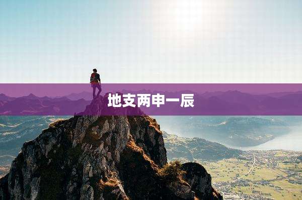 地支两申一辰