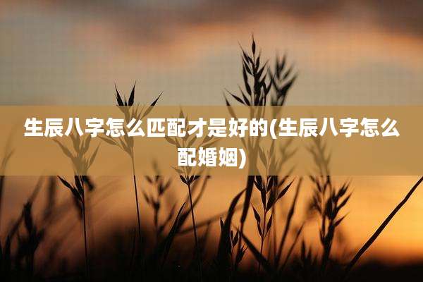 生辰八字怎么匹配才是好的(生辰八字怎么配婚姻)