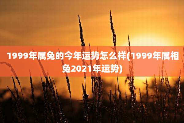 1999年属兔的今年运势怎么样(1999年属相兔2021年运势)