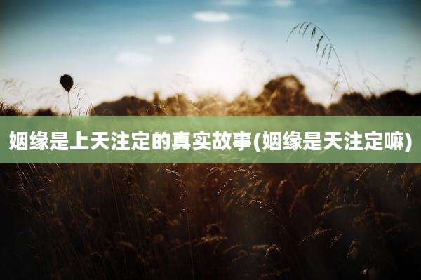 姻缘是上天注定的真实故事(姻缘是天注定嘛)
