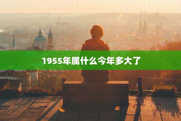1955年属什么今年多大了