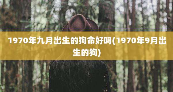1970年九月出生的狗命好吗(1970年9月出生的狗)