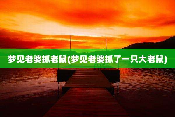 梦见老婆抓老鼠(梦见老婆抓了一只大老鼠)