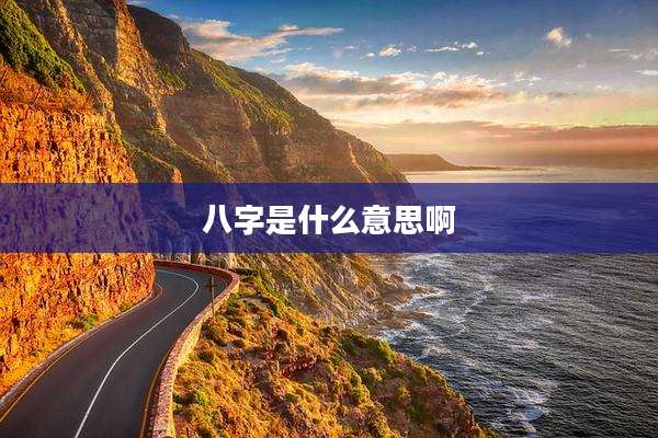 八字是什么意思啊