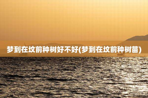 梦到在坟前种树好不好(梦到在坟前种树苗)