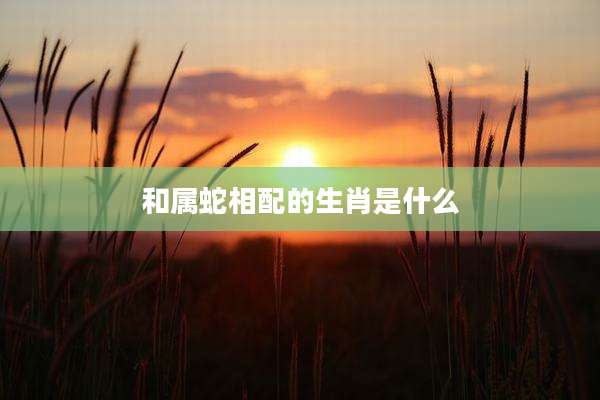 和属蛇相配的生肖是什么
