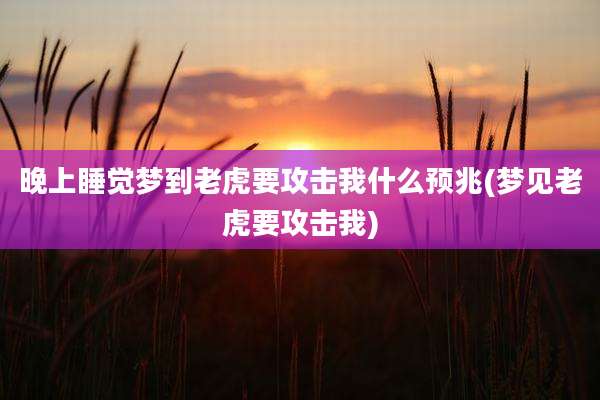 晚上睡觉梦到老虎要攻击我什么预兆(梦见老虎要攻击我)