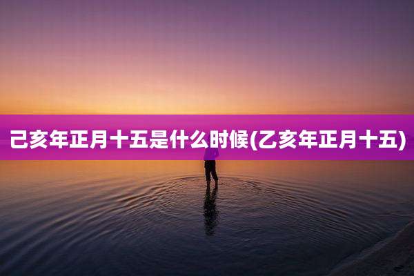 己亥年正月十五是什么时候(乙亥年正月十五)