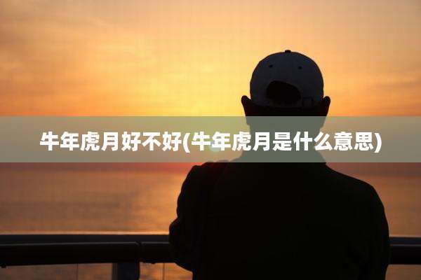 牛年虎月好不好(牛年虎月是什么意思)