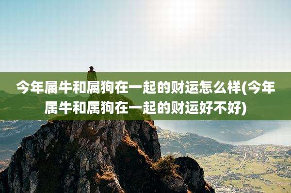 今年属牛和属狗在一起的财运怎么样(今年属牛和属狗在一起的财运好不好)