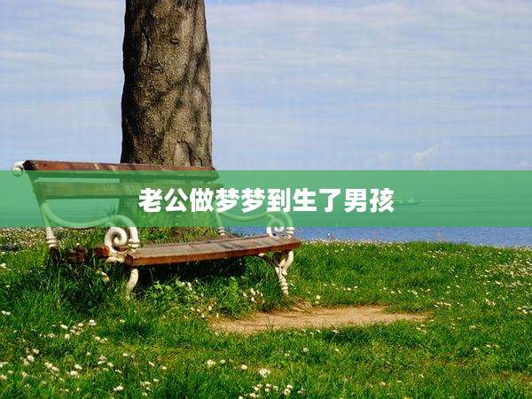老公做梦梦到生了男孩