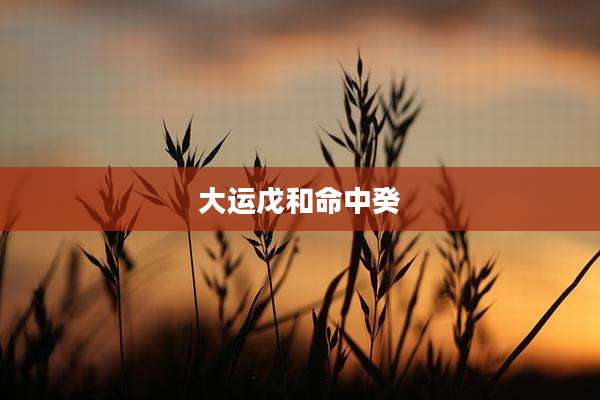 大运戊和命中癸