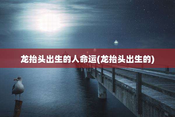 龙抬头出生的人命运(龙抬头出生的)