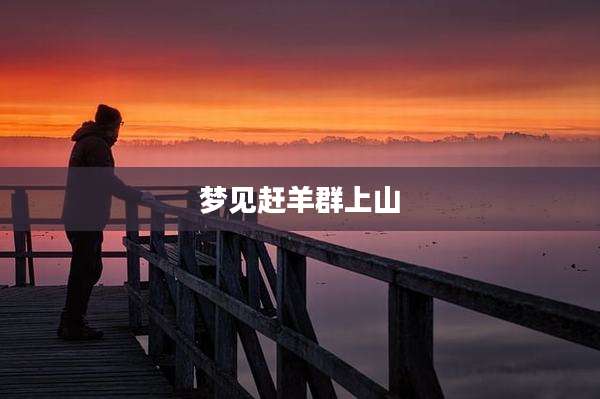 梦见赶羊群上山